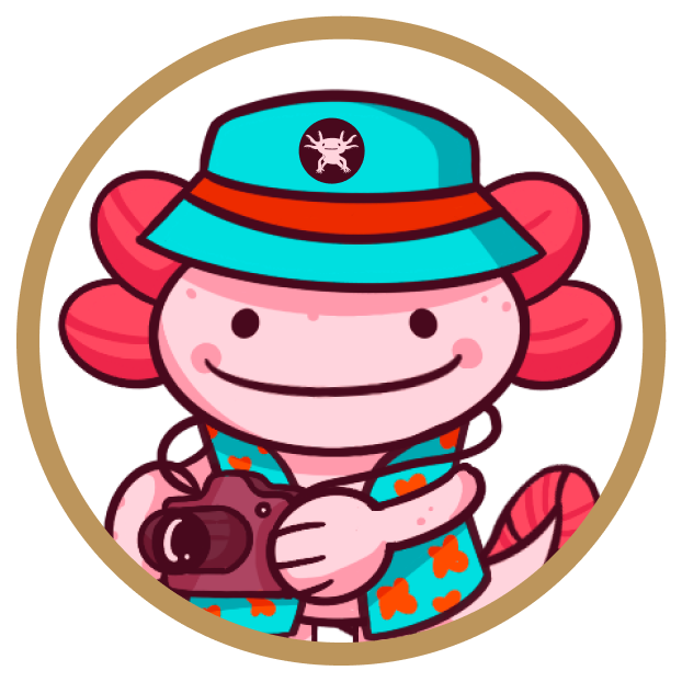 Axolotl